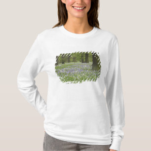 Bluebells and Oak Trees in Spring, Little Hagley T-Shirt