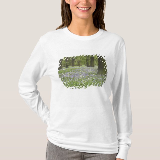 Bluebells and Oak Trees in Spring, Little Hagley T-Shirt (Front)