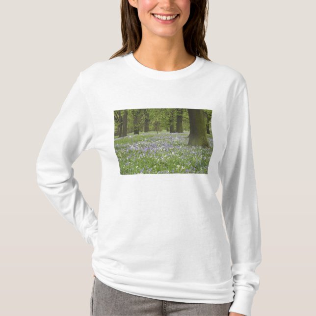 Bluebells and Oak Trees in Spring, Little Hagley T-Shirt (Front)