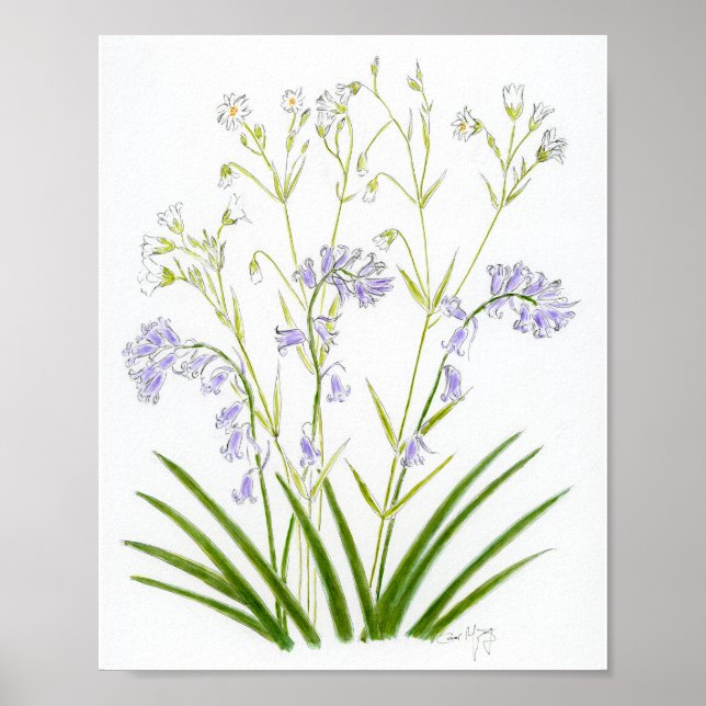 Bluebells and Stitchwort Poster (Front)