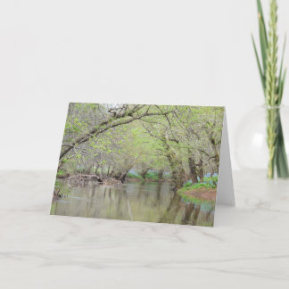 Bluebells at the Creek - Nature Greeting Card