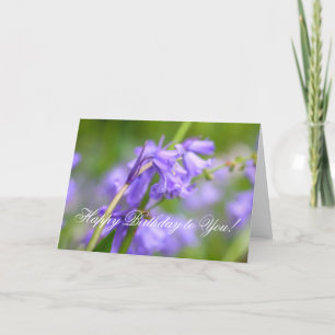 Bluebells beauty card
