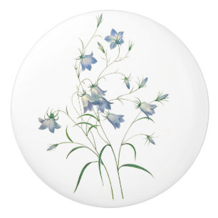 Bluebells by Redoute Botanical Art Round Knob