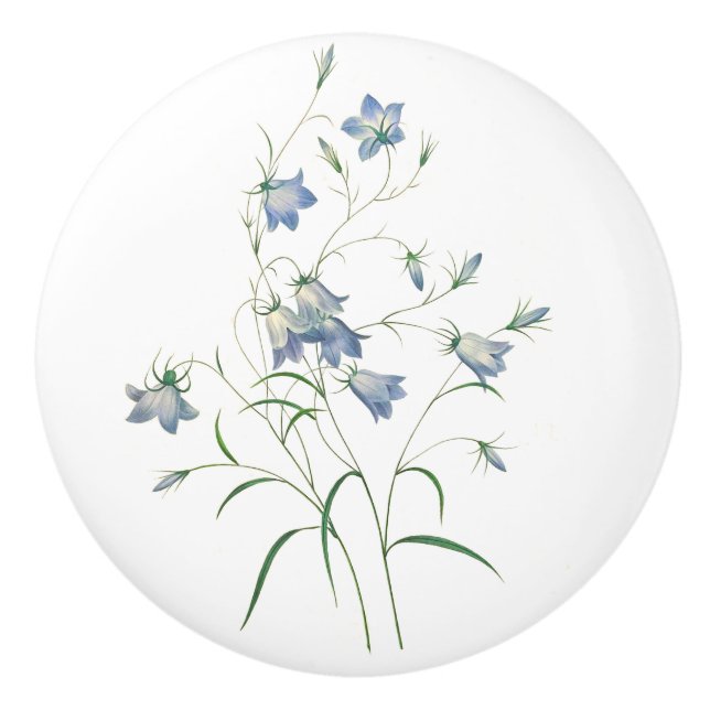 Bluebells by Redoute Botanical Art  Round Knob (Front)