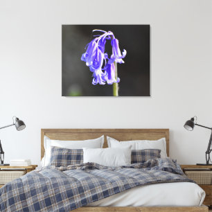 Bluebells canvas print
