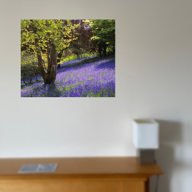 Bluebells Canvas Print (Creator Uploaded)