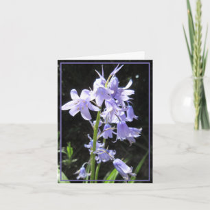 Bluebells Card