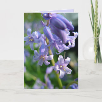 Bluebells Card