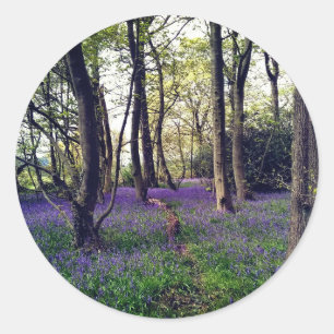 Bluebells forest Floral modern elegant Beautiful Classic Round Sticker