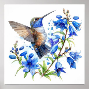 Bluebells Hummingbird Watercolor Print