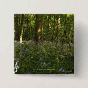 Bluebells In A Forest 15 Cm Square Badge