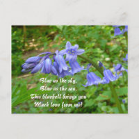 BLUEBELLS  ~  Postcard # 3