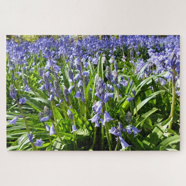 Bluebells Puzzle (Horizontal)