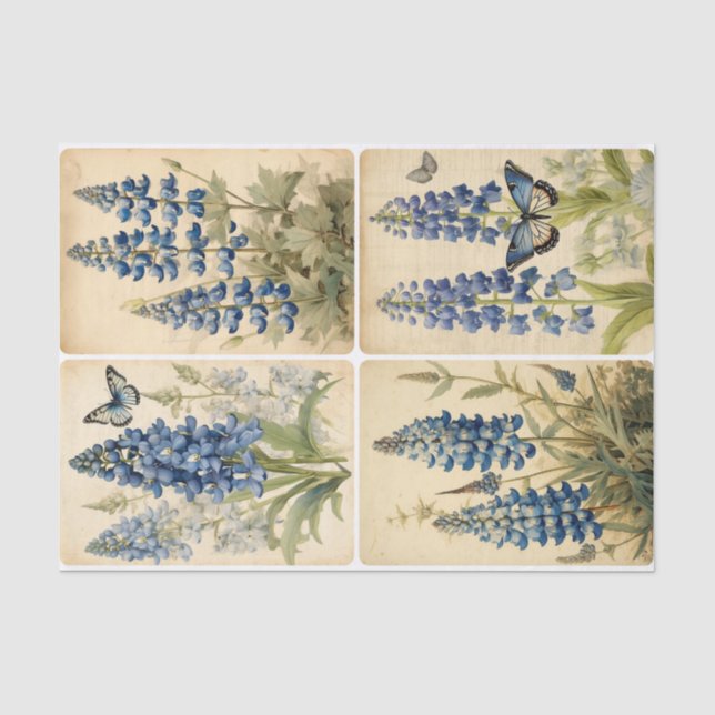 Bluebells  tissue paper (Front)