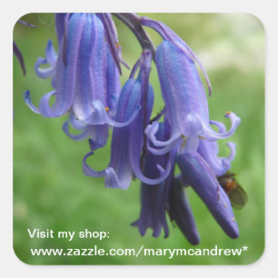 Bluebells WIldflower stickers