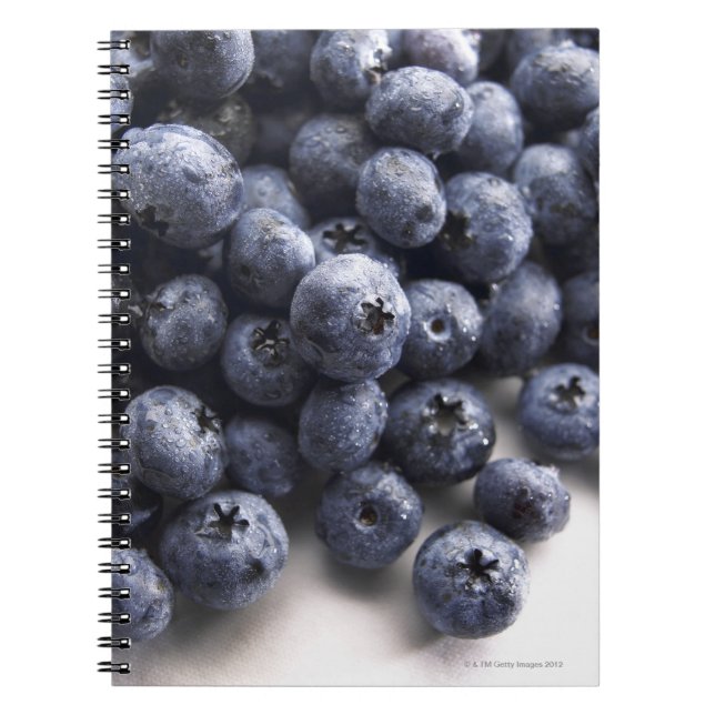 Blueberries 2 spiral notebook (Front)