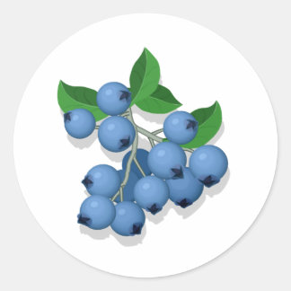 Blueberries Classic Round Sticker