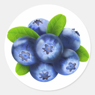 Blueberries Classic Round Sticker