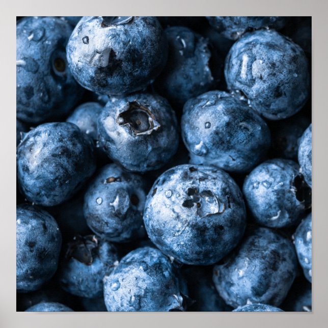 Blueberries Fruit Poster (Front)