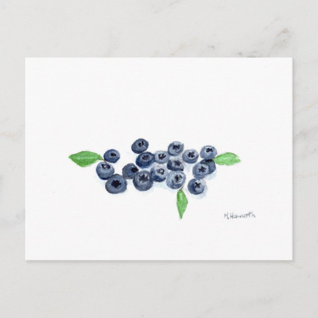 Blueberries fruits kitchen decor postcard (Front)