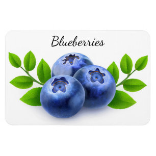 Blueberries Magnet
