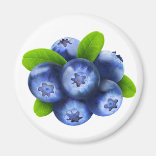Blueberries Magnet