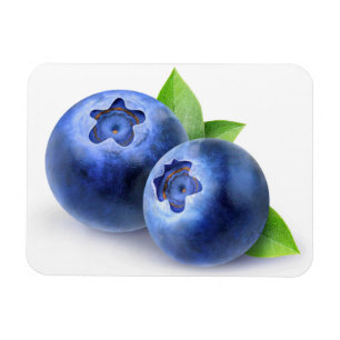 Blueberries Magnet