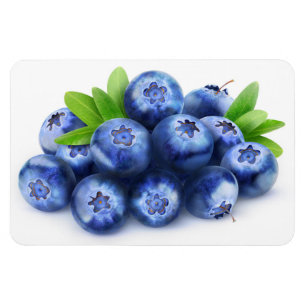 Blueberries Magnet