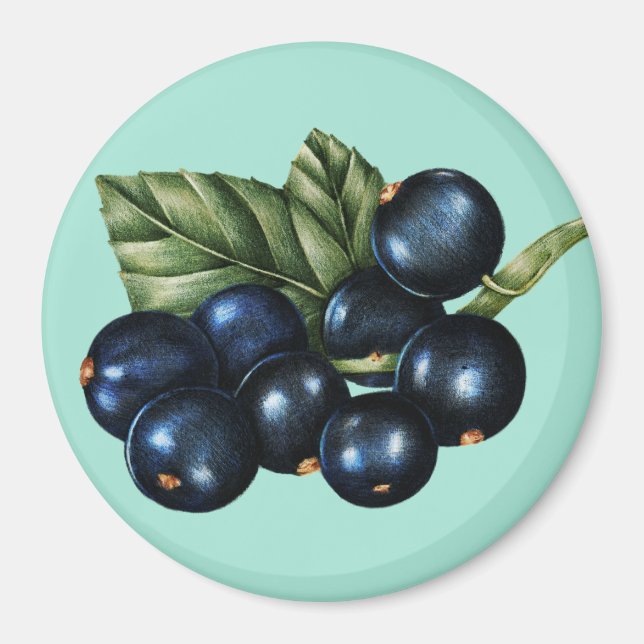 Blueberries Magnet (Front)