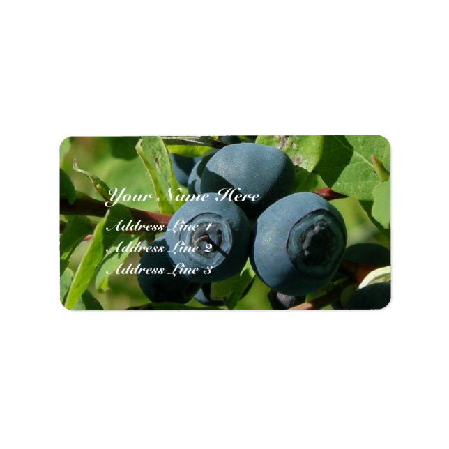 Blueberries on a Bush Label (Front)