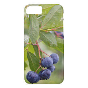 blueberries on bush Case-Mate iPhone case