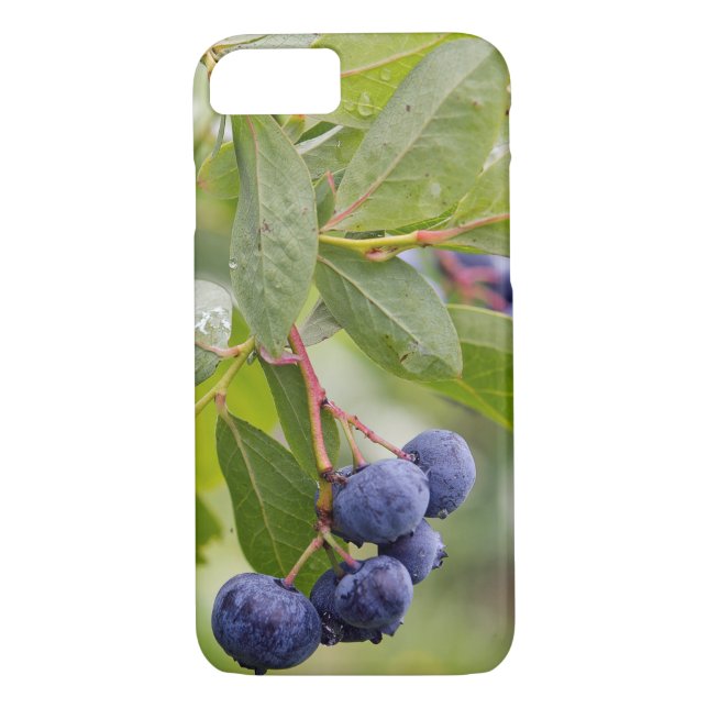 blueberries on bush Case-Mate iPhone case (Back)