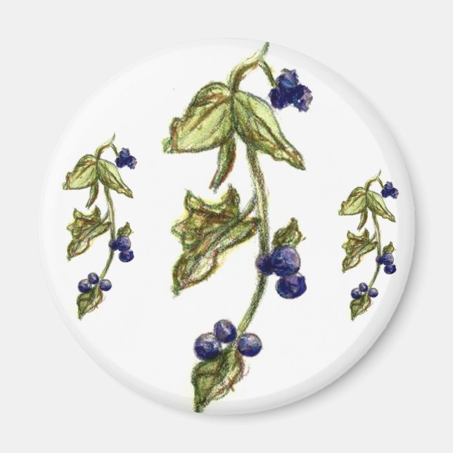 Blueberries On Vine Magnet (Front)