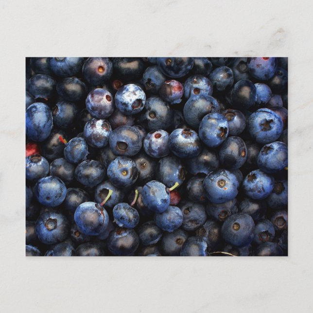 Blueberries Postcard (Front)