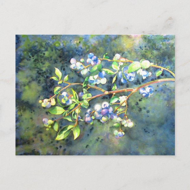 Blueberries, romantic fruit Watercolor painting Postcard (Front)