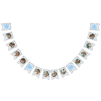 Blueberry Birthday 12 Month Photo Milestone Bunting