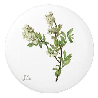Blueberry blossom ceramic knob