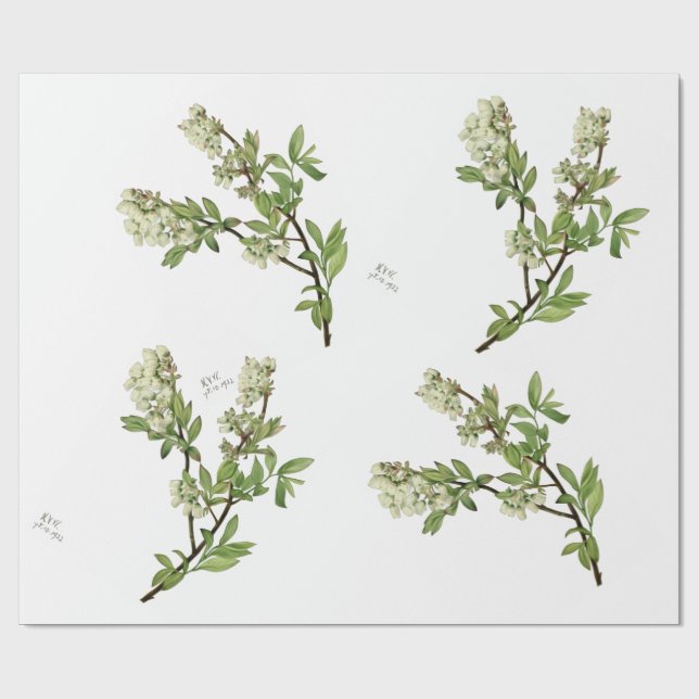 Blueberry blossom wrapping paper (Flat)