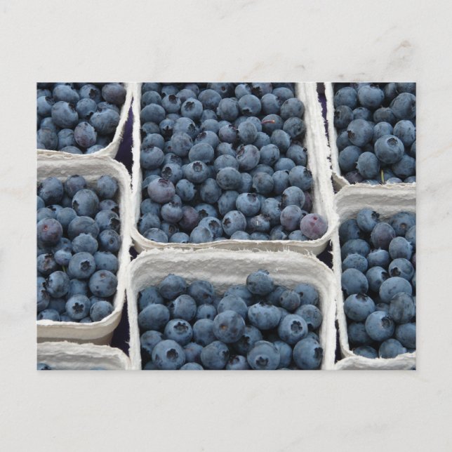 Blueberry Crates Postcard (Front)