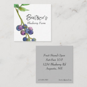 Blueberry Hobby Fruit Farm Business  Square Business Card