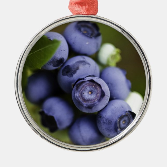 blueberry lover metal tree decoration (Front)