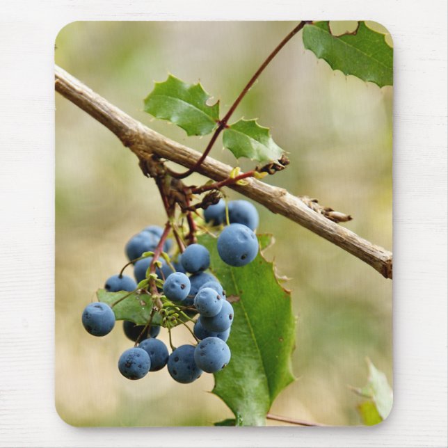 Blueberry Mousepads (Front)