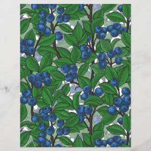 Blueberry on white