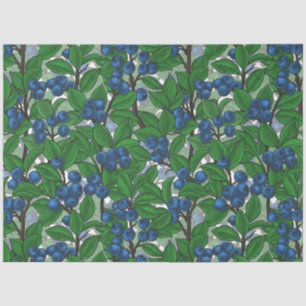 Blueberry on white tissue paper