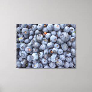 Blueberry photography. canvas print