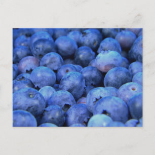 blueberry pile holiday postcard