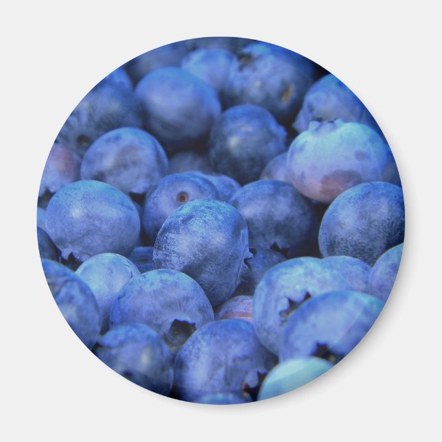 blueberry pile magnet (Front)