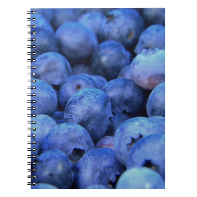 blueberry pile notebook (Front)
