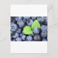 BLUEBERRY