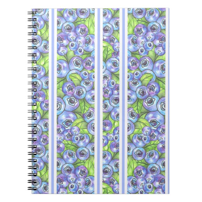 blueberry stripes notebook (Front)